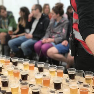 Beer Festival Sample Cups