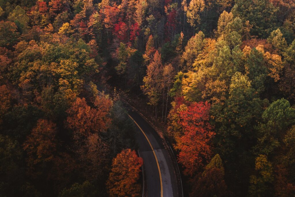 Autumn Escapes: Discover the Best Fall Foliage Destinations with Map Your City