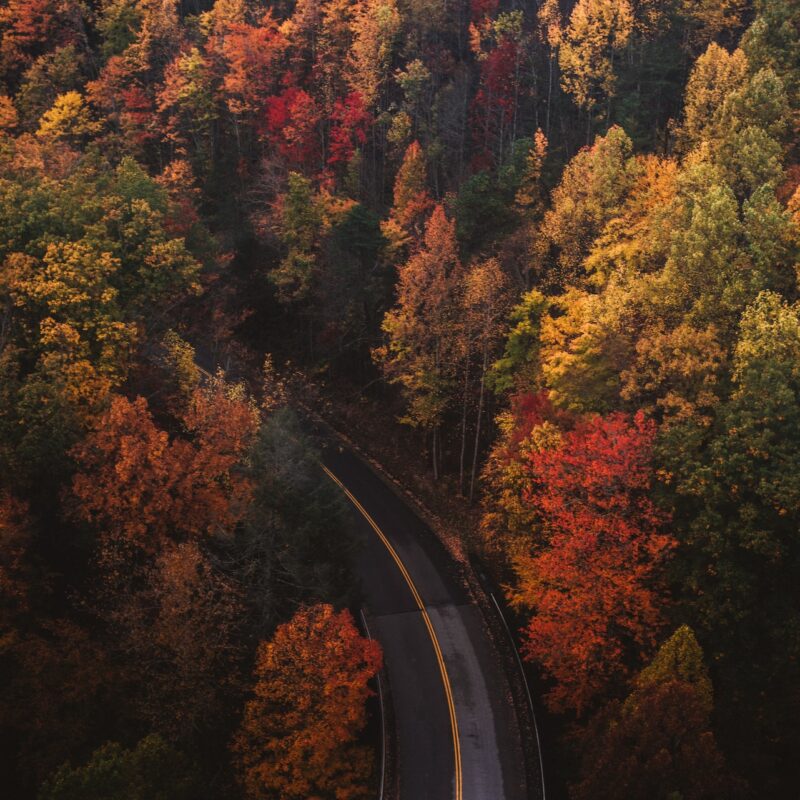 Autumn Escapes: Discover the Best Fall Foliage Destinations with Map Your City